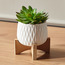Succulent Plant in Pot - 15 cm-household-gardenandoutdoor-artificialplants-succulents-image-1