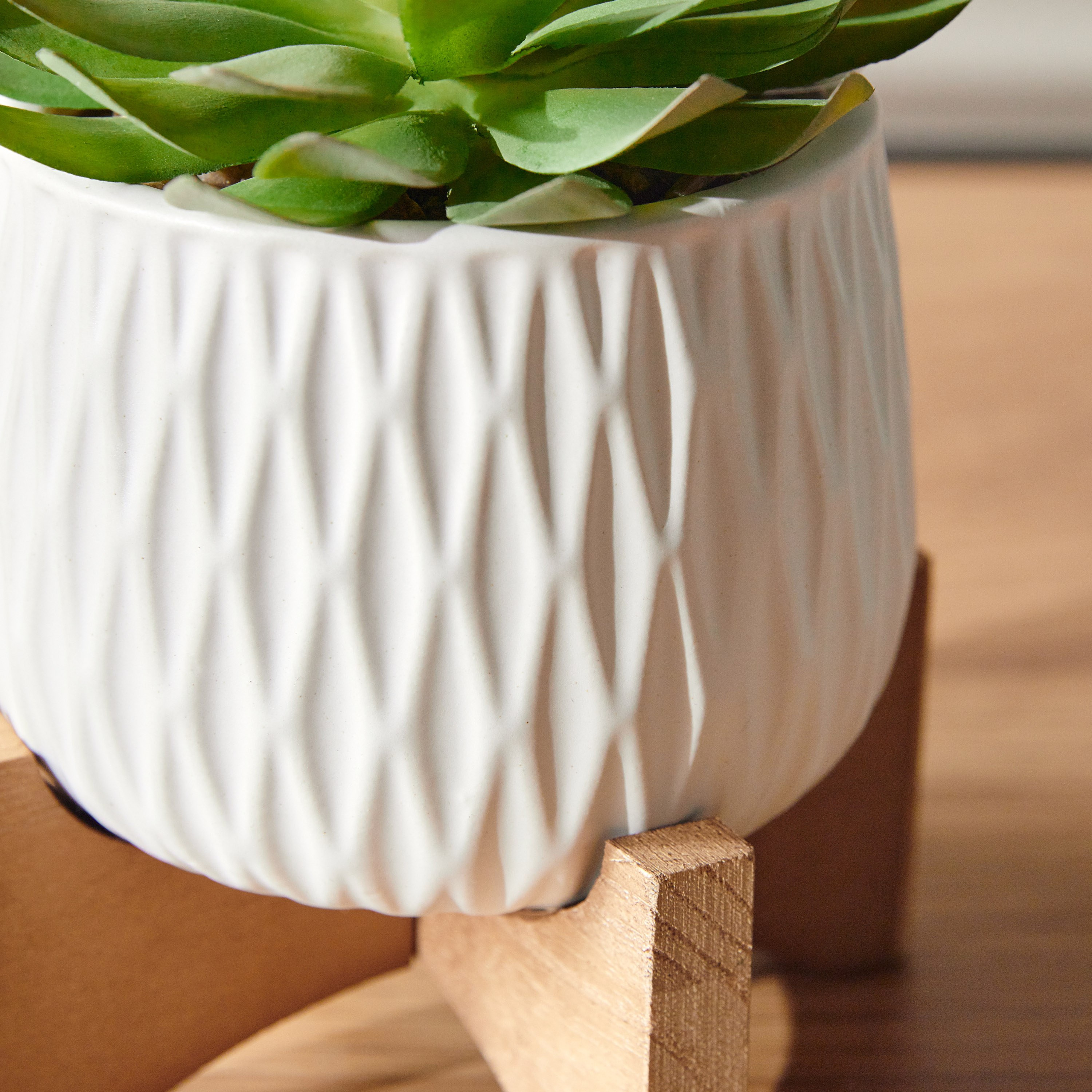 Succulent Plant in Pot - 15 cm-household-gardenandoutdoor-artificialplants-succulents-image-2