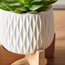 Succulent Plant in Pot - 15 cm-household-gardenandoutdoor-artificialplants-succulents-image-2