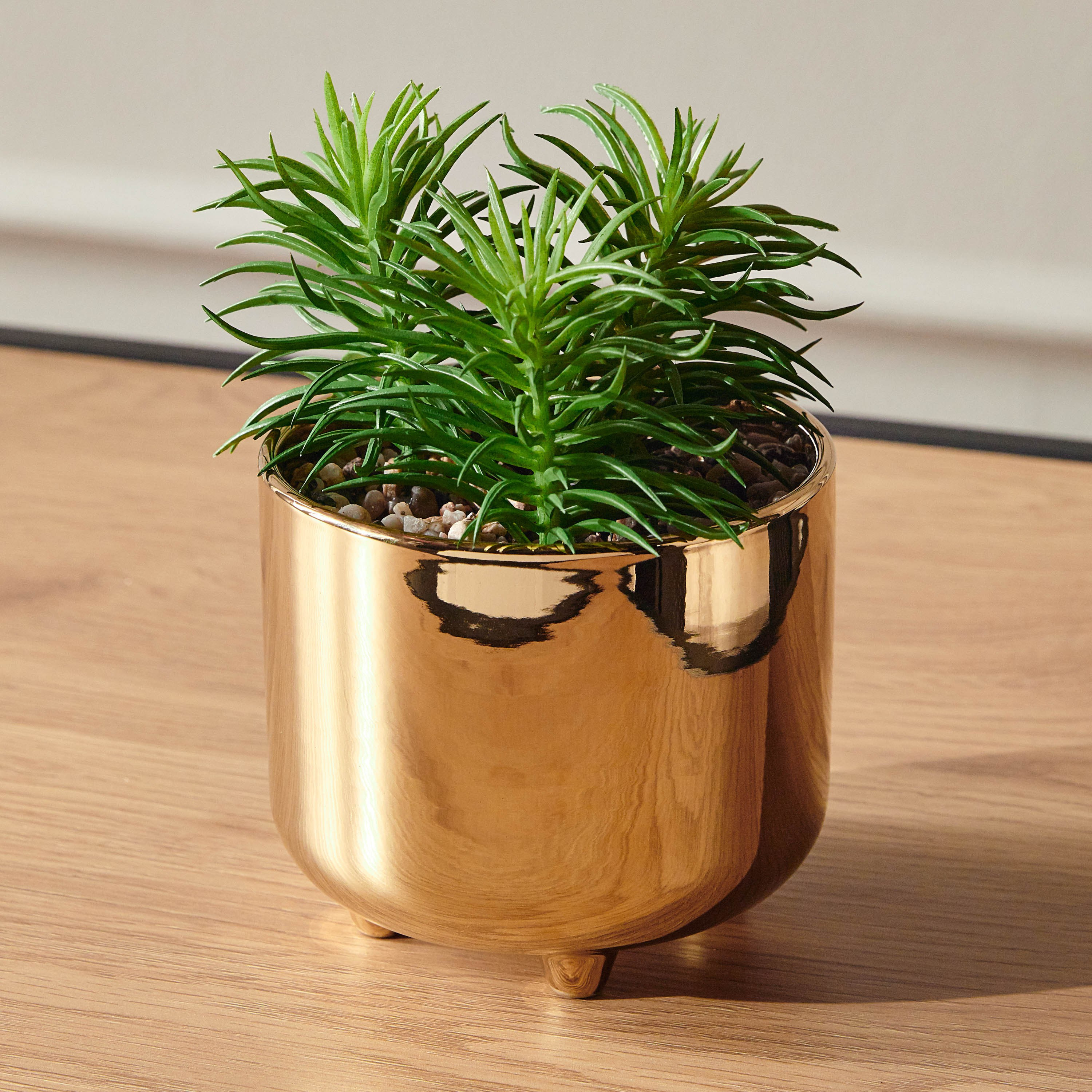 Succulent Plant in Pot - 17 cm-household-gardenandoutdoor-artificialplants-succulents-image-1