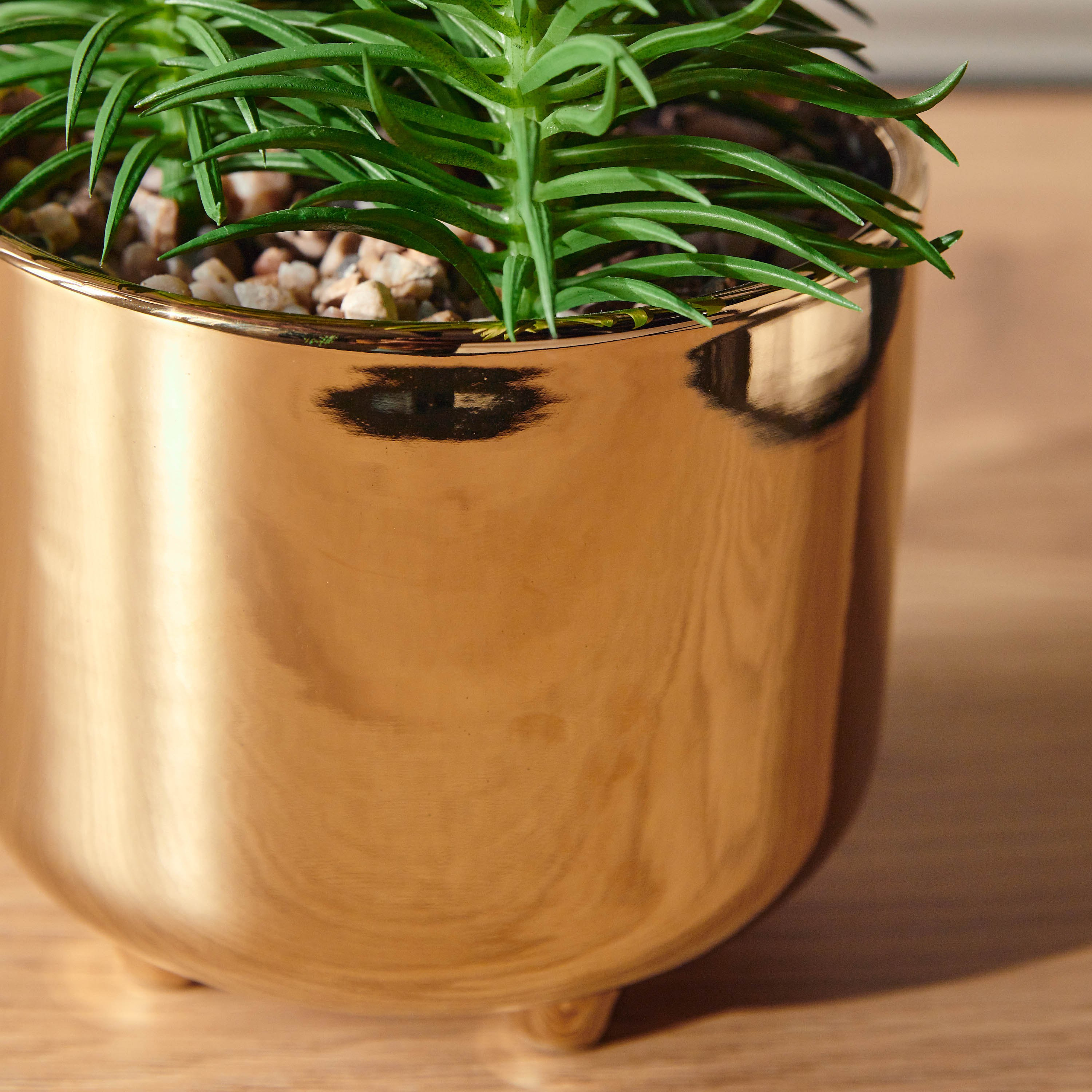 Succulent Plant in Pot - 17 cm-household-gardenandoutdoor-artificialplants-succulents-image-2