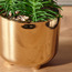 Succulent Plant in Pot - 17 cm-household-gardenandoutdoor-artificialplants-succulents-image-2
