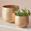 إناء زرع معدني - مونتاني - 21 سم-binpromo_ALLBANKS_OMN_14032025-image-1