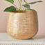Montagne Metal Planter - 30 cm-binpromo_ALLBANKS_OMN_14032025-image-2