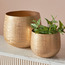 Montagne Metal Planter - 30 cm-binpromo_ALLBANKS_OMN_14032025-image-4