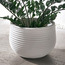 Owalny Ceramic Planter - 38 cm-household-gardenandoutdoor-potsandplanters-planters-image-1