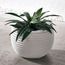 وعاء زرع سيراميك - أوالني - 38 سم-household-gardenandoutdoor-potsandplanters-planters-image-3