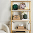 Marselle Tissue Holder-binpromo_ALLBANKS_OMN_14032025-image-4