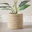 إناء زرع من العشب الطبيعي والورق - تاسكان - 21 سم-household-gardenandoutdoor-potsandplanters-planters-image-3