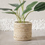 إناء زرع من العشب الطبيعي والورق - تاسكان - 15 سم-household-gardenandoutdoor-potsandplanters-planters-image-3
