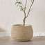 Trogir Natural Grass and Paper Planter - 36 cm-household-gardenandoutdoor-potsandplanters-planters-image-1