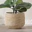 Trogir Natural Grass and Paper Planter - 30 cm-household-gardenandoutdoor-potsandplanters-planters-image-1