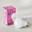 9 W A60 LED Bulb - E27 945 lumen Warm White-household-lighting-bulbsandbatteries-bulbs-image-1