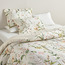 Amani Cotton Floral Printed 6-Piece Queen Comforter and Sheet Set - 200x240 cm-household-bedding-comfortersandbedspreads-bedinabag-image-1