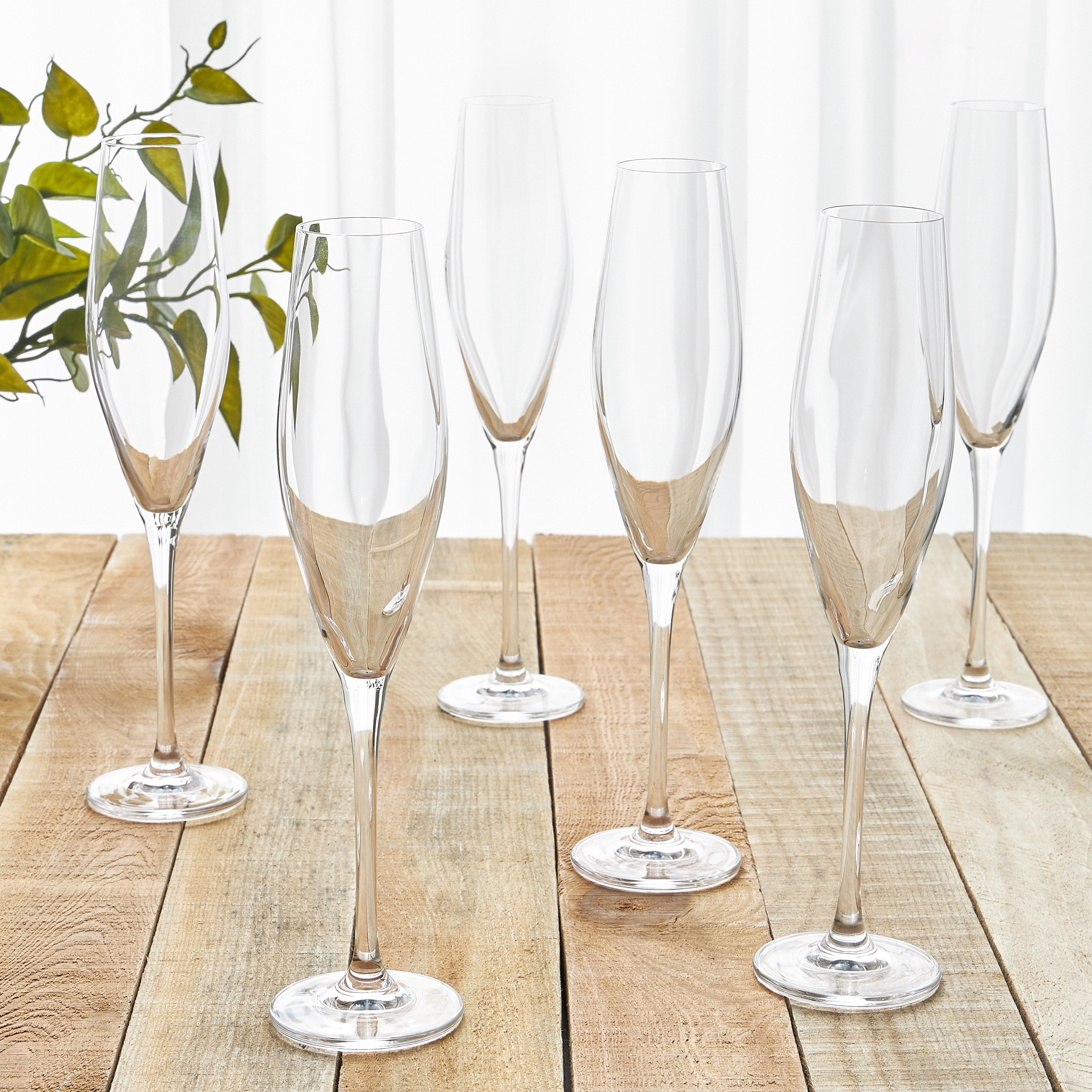Loxia 6-Piece Flute Glass Set - 210 ml-household-dining-glassware-stemware-image-1