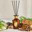 Oriental Black Forest Reed Diffuser - 230 ml-household-homefragrance-reeddiffusers-image-1