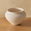 أصيص نباتات سيراميك ريجان رقطة - 16 سم-household-gardenandoutdoor-potsandplanters-planters-image-3