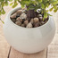 شجرة بونساي داخل إناء سيراميك - كيم - 20 سم-household-gardenandoutdoor-artificialplants-bonsai-image-3