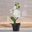 Orchid in Pot - 25 cm-household-gardenandoutdoor-artificialflowersandplants-flowers-image-1