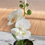 Orchid in Pot - 25 cm-household-gardenandoutdoor-artificialflowersandplants-flowers-image-2