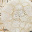 Bria Marble Top Side Table-furniture-livingroom-sideandendtables-image-2