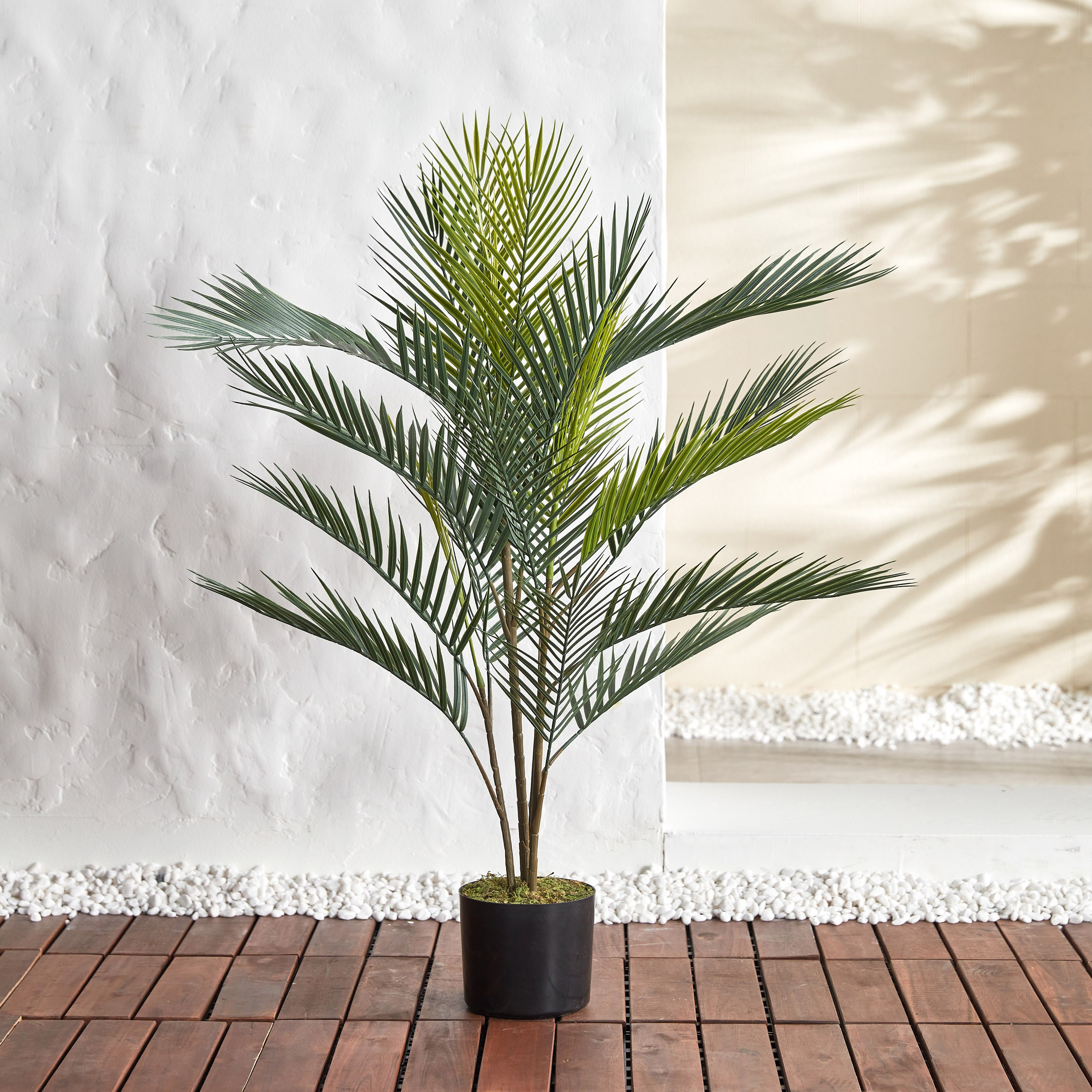 Palm Tree in Pot - 90 cm-household-gardenandoutdoor-trees-image-1