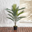 Palm Tree in Pot - 90 cm-household-gardenandoutdoor-trees-image-1