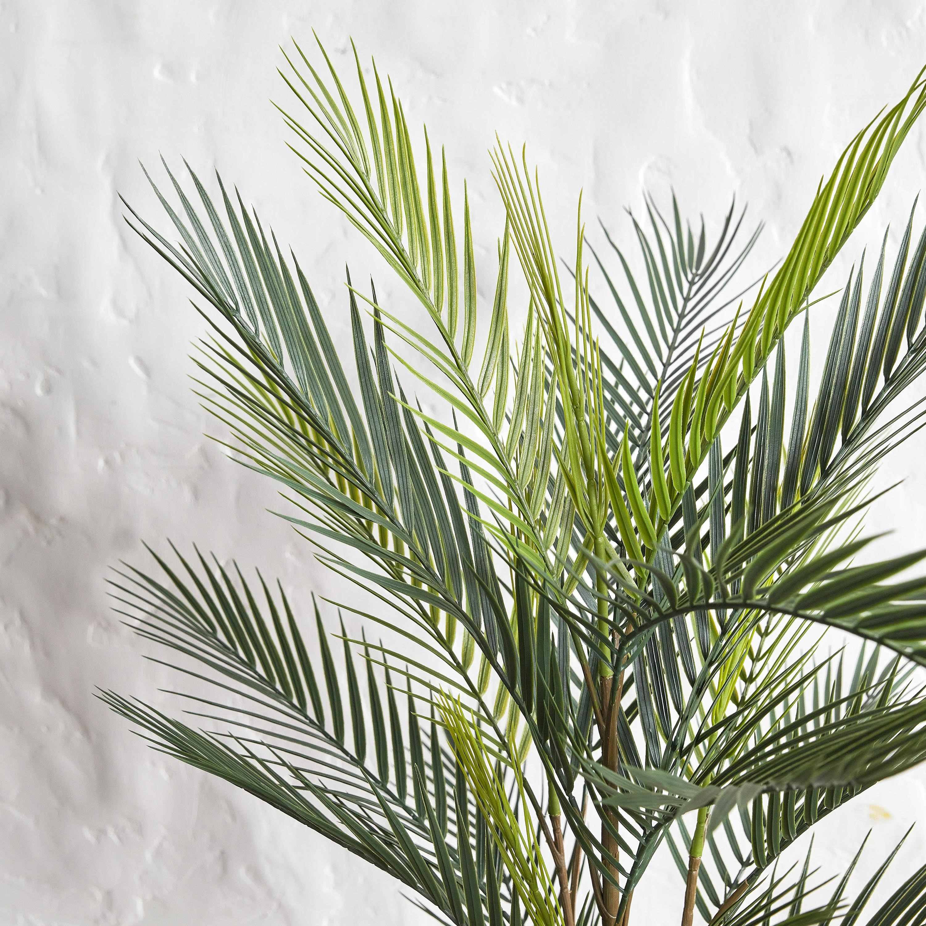 Palm Tree in Pot - 90 cm-household-gardenandoutdoor-trees-image-2