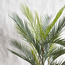 Palm Tree in Pot - 90 cm-household-gardenandoutdoor-trees-image-2