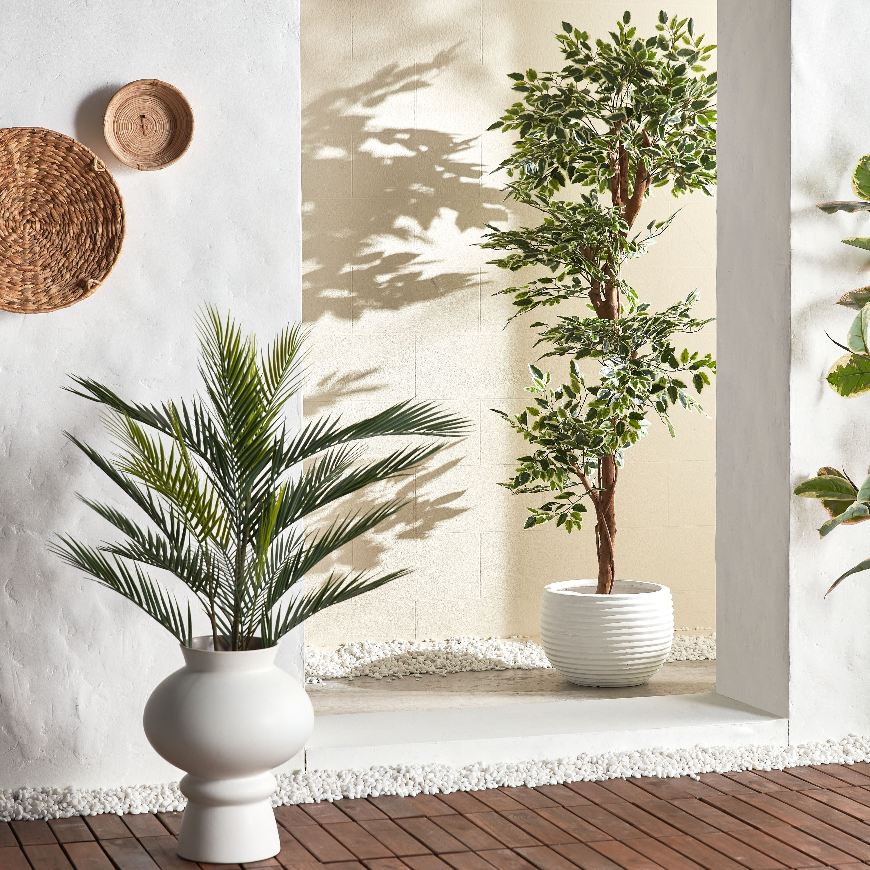 Palm Tree in Pot - 90 cm-household-gardenandoutdoor-trees-image-4