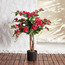 Bougainvillea Tree in Pot - 90 cm-household-gardenandoutdoor-trees-image-1
