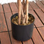 Bougainvillea Tree in Pot - 90 cm-household-gardenandoutdoor-trees-image-3
