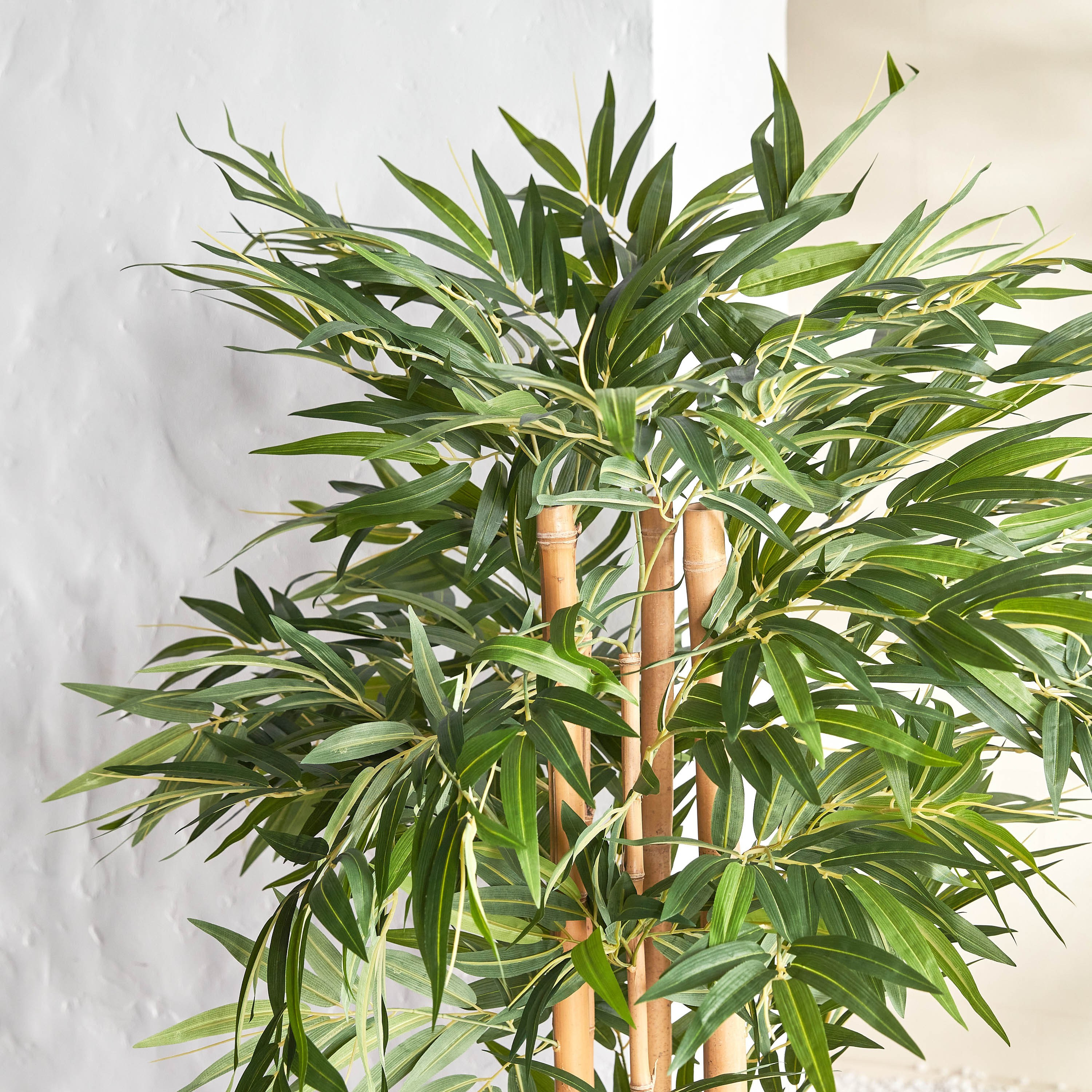 Bamboo Tree in Pot - 150 cm-household-gardenandoutdoor-trees-image-2