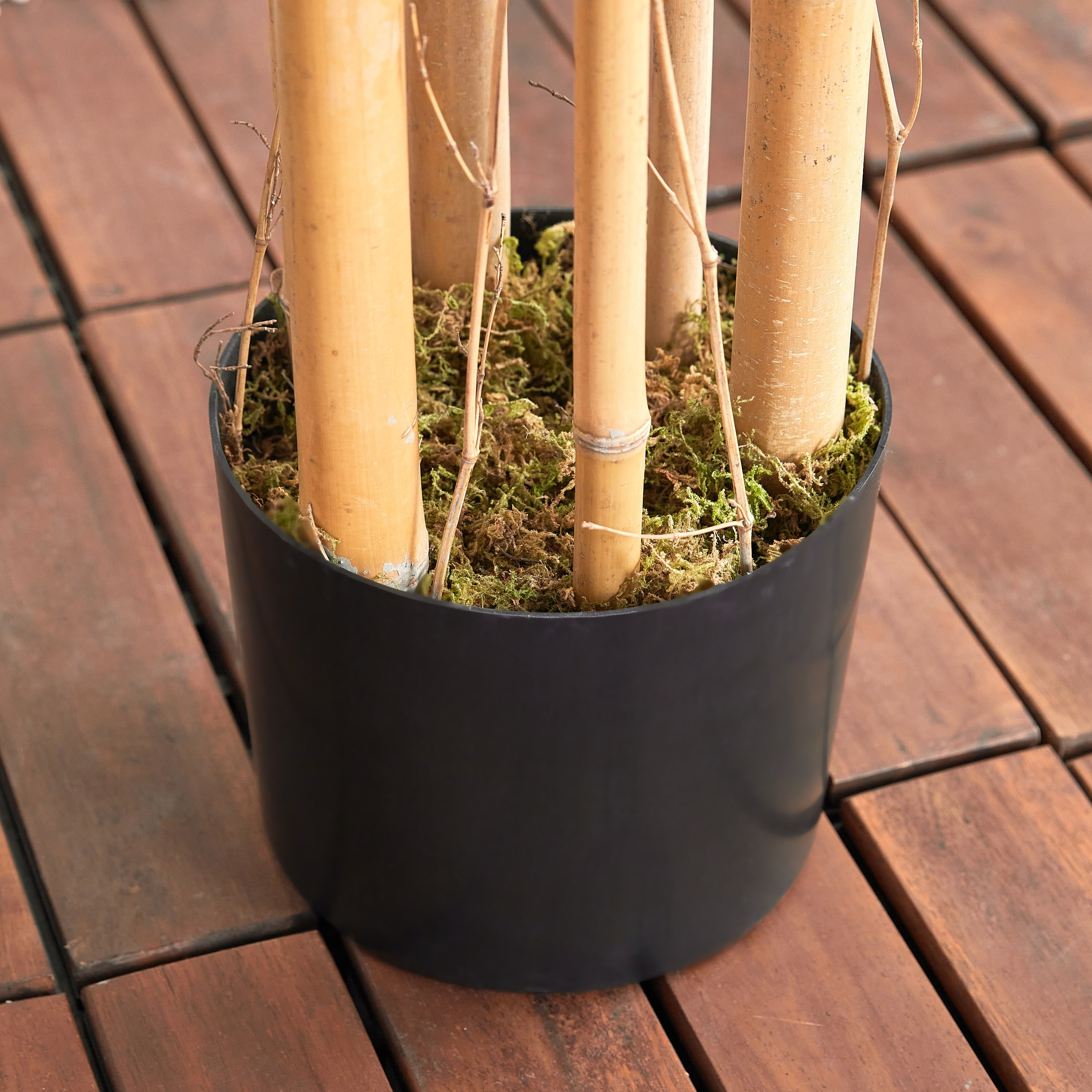 Bamboo Tree in Pot - 150 cm-household-gardenandoutdoor-trees-image-3