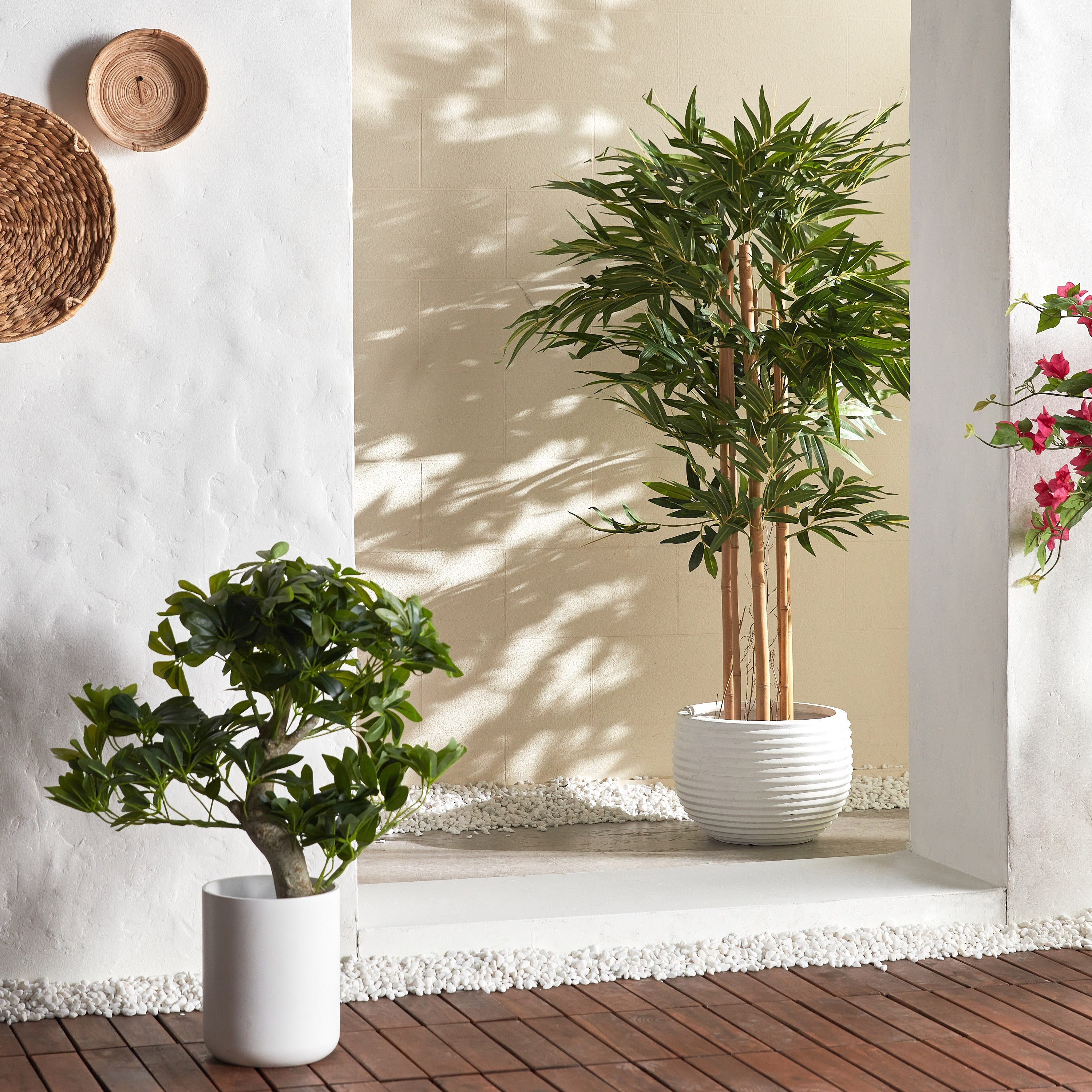 Bamboo Tree in Pot - 150 cm-household-gardenandoutdoor-trees-image-4