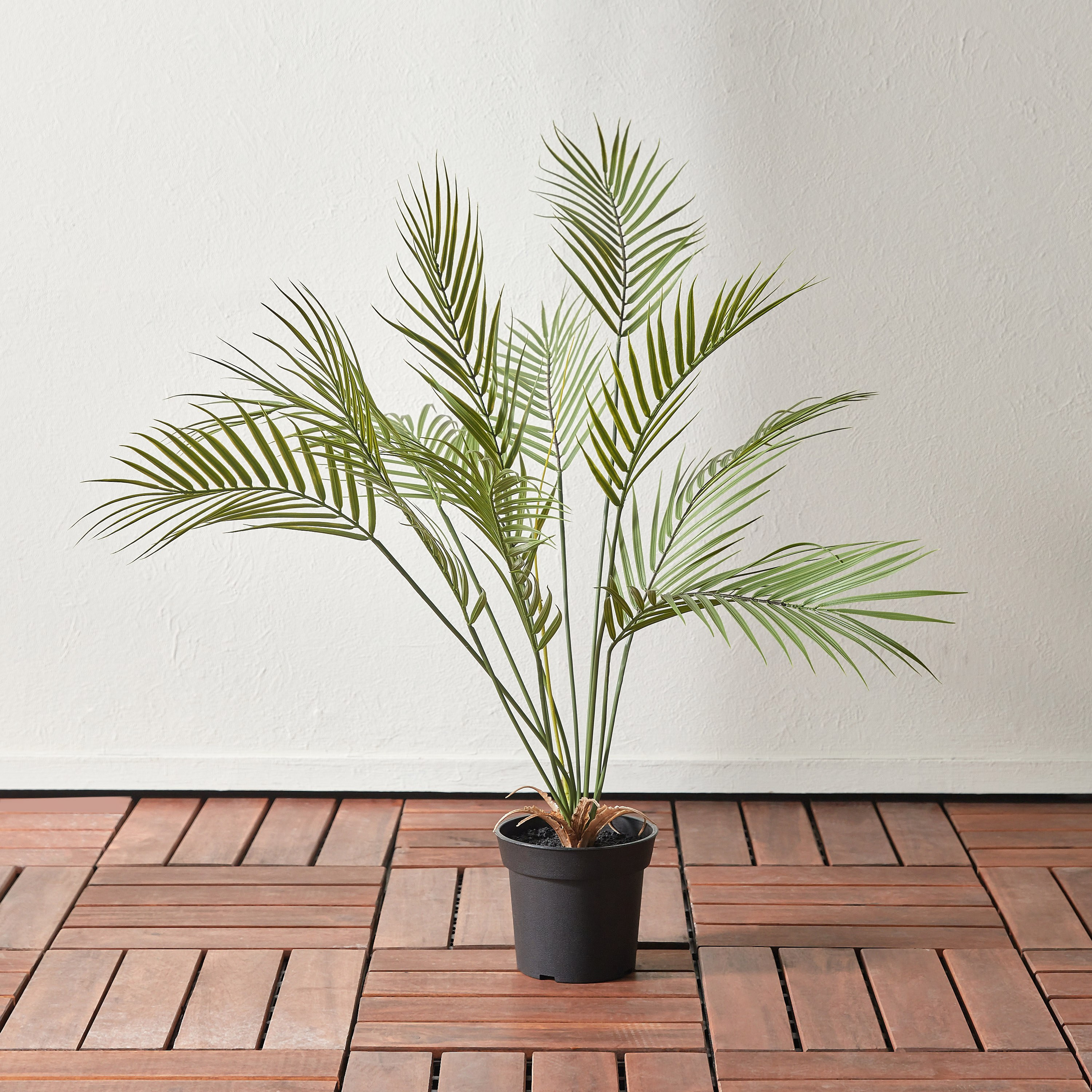 Palm Tree in Pot - 90 cm-household-gardenandoutdoor-trees-image-1