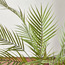 شجرة نخيل في إناء زرع - 90 سم-household-gardenandoutdoor-trees-image-3