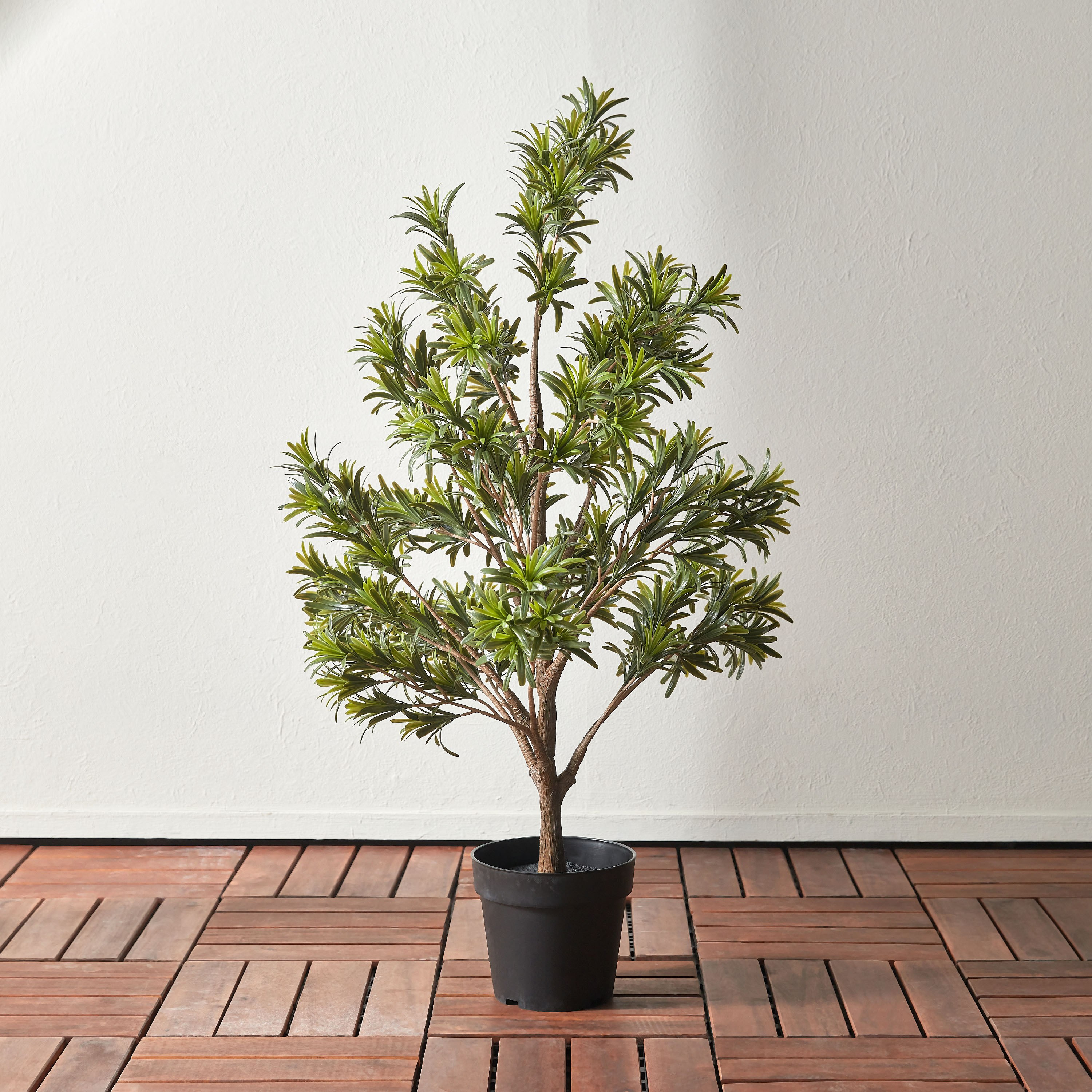 Schefflera Tree in Pot - 101 cm-household-gardenandoutdoor-trees-image-1