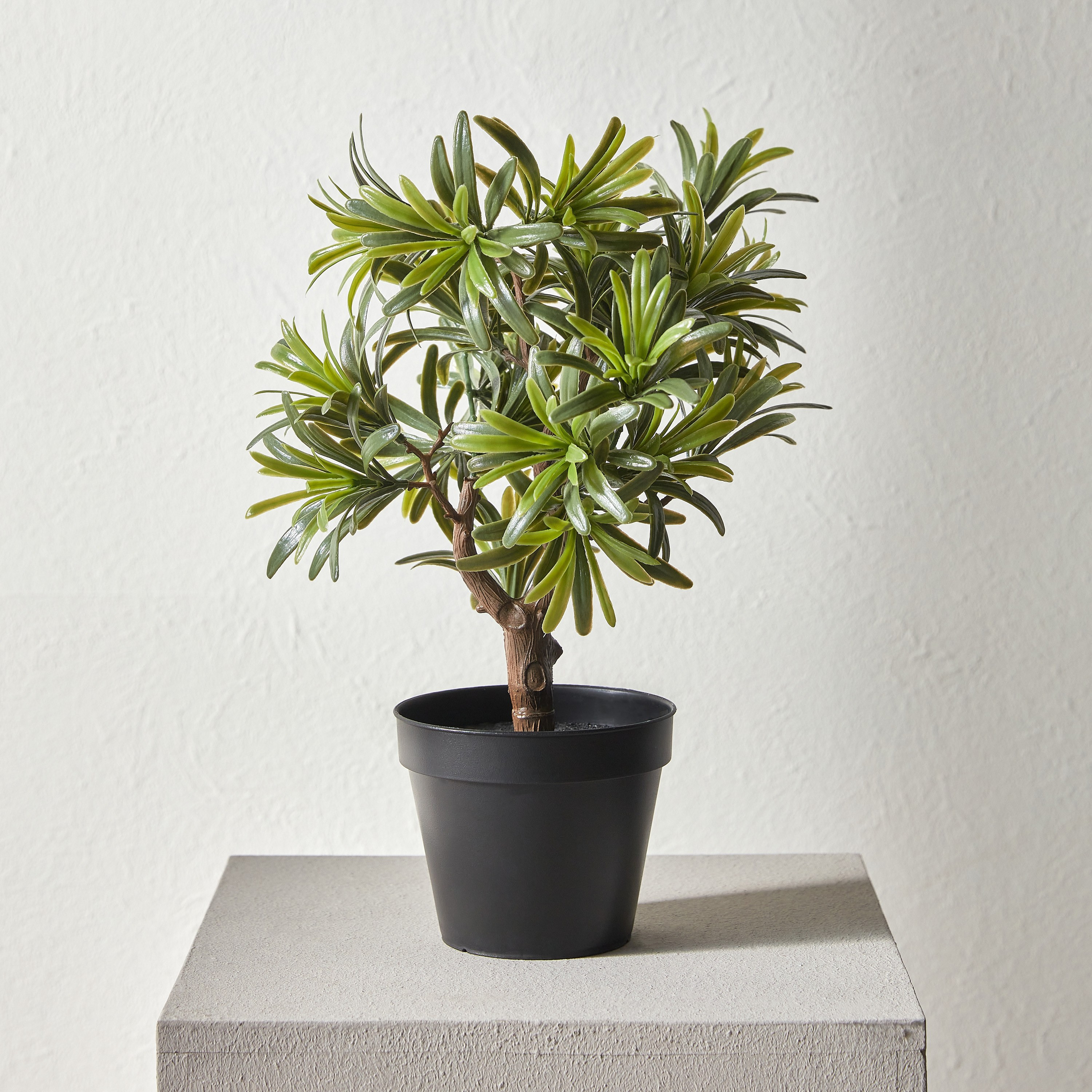 Schefflera Tree in Pot - 40 cm-household-gardenandoutdoor-artificialplants-pottedplants-image-1
