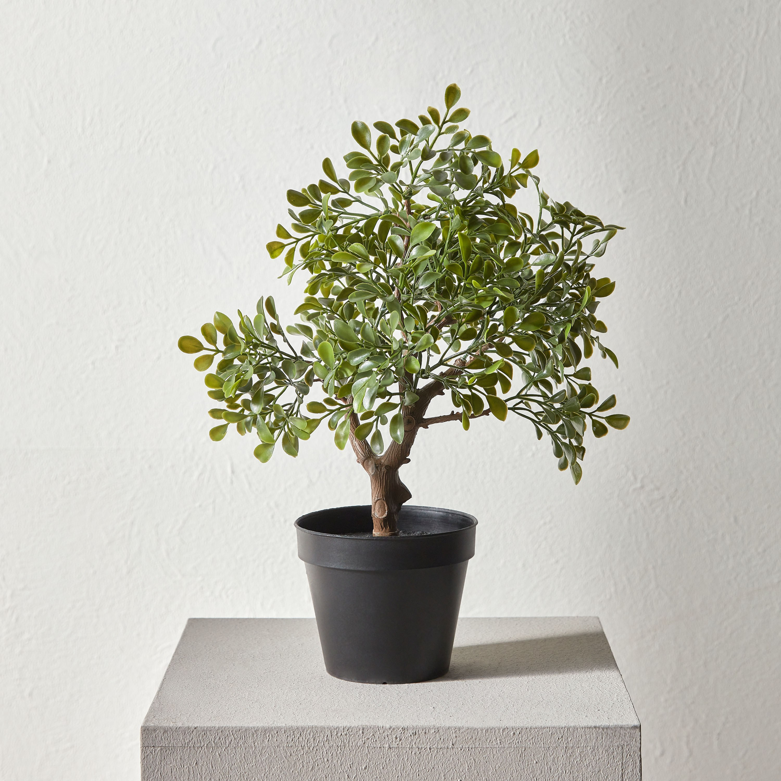 Mini Plant in Pot - 40 cm-household-gardenandoutdoor-artificialflowersandplants-plants-image-1