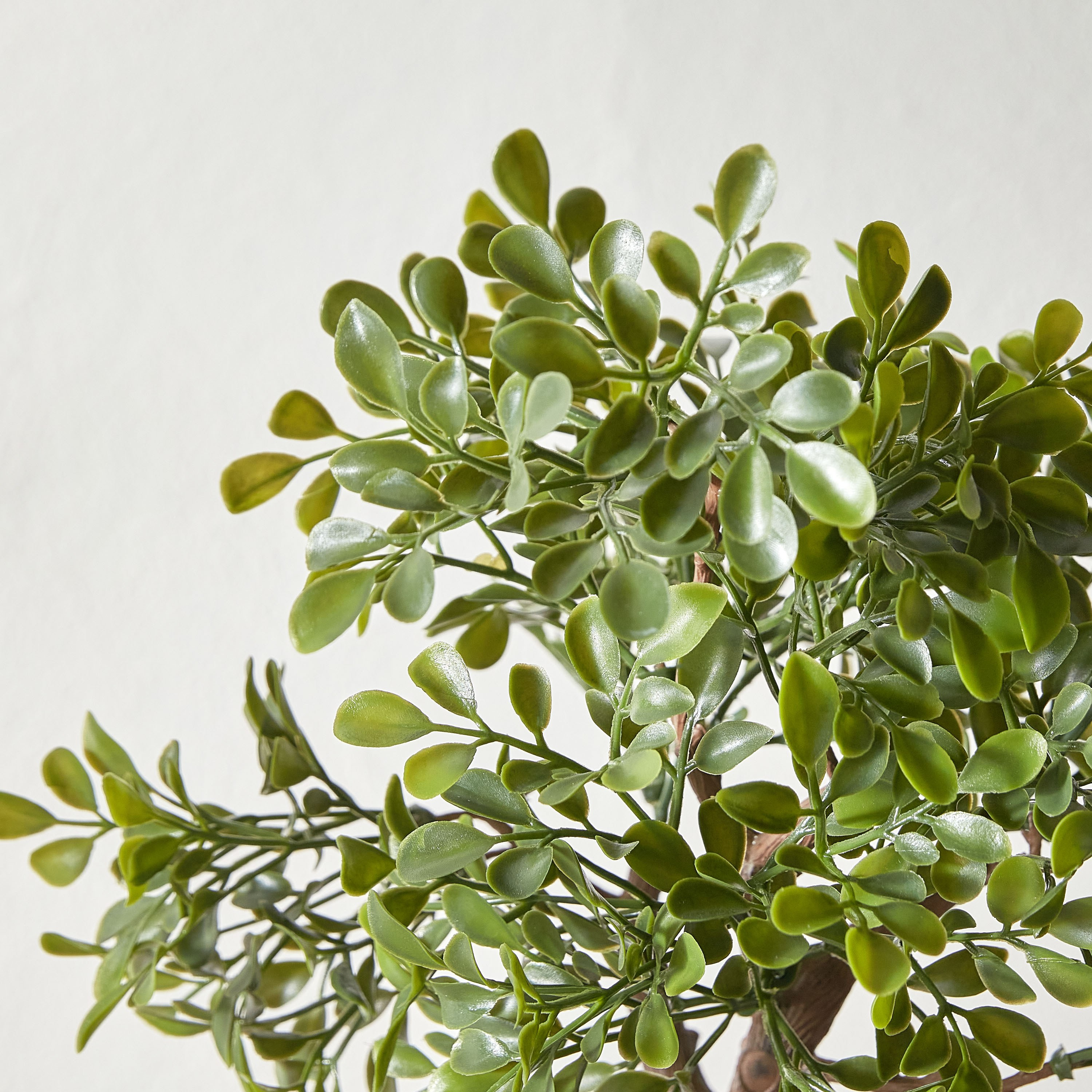 Mini Plant in Pot - 40 cm-household-gardenandoutdoor-artificialflowersandplants-plants-image-2