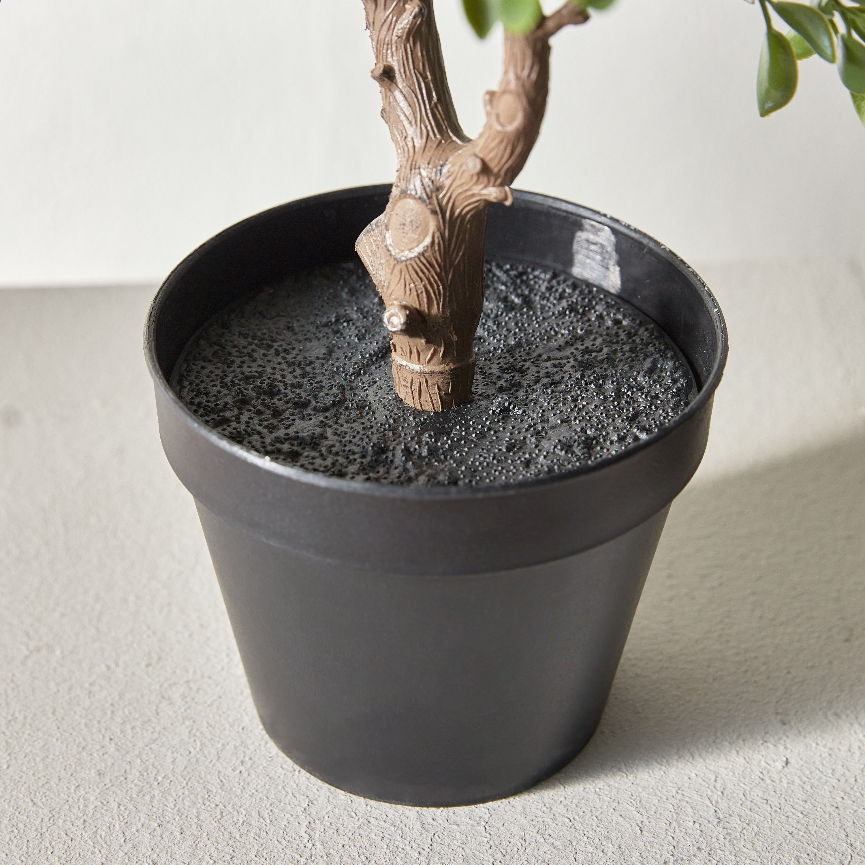 Mini Plant in Pot - 40 cm-household-gardenandoutdoor-artificialflowersandplants-plants-image-3