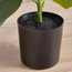 Rubber Plant in Pot - 50 cm-household-gardenandoutdoor-artificialplants-pottedplants-image-2