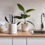 Rubber Plant in Pot - 50 cm-household-gardenandoutdoor-artificialplants-pottedplants-image-3