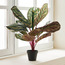 Calathea Plant with Pot - 60 cm-household-gardenandoutdoor-artificialplants-pottedplants-image-1