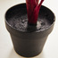 Calathea Plant with Pot - 60 cm-household-gardenandoutdoor-artificialplants-pottedplants-image-3