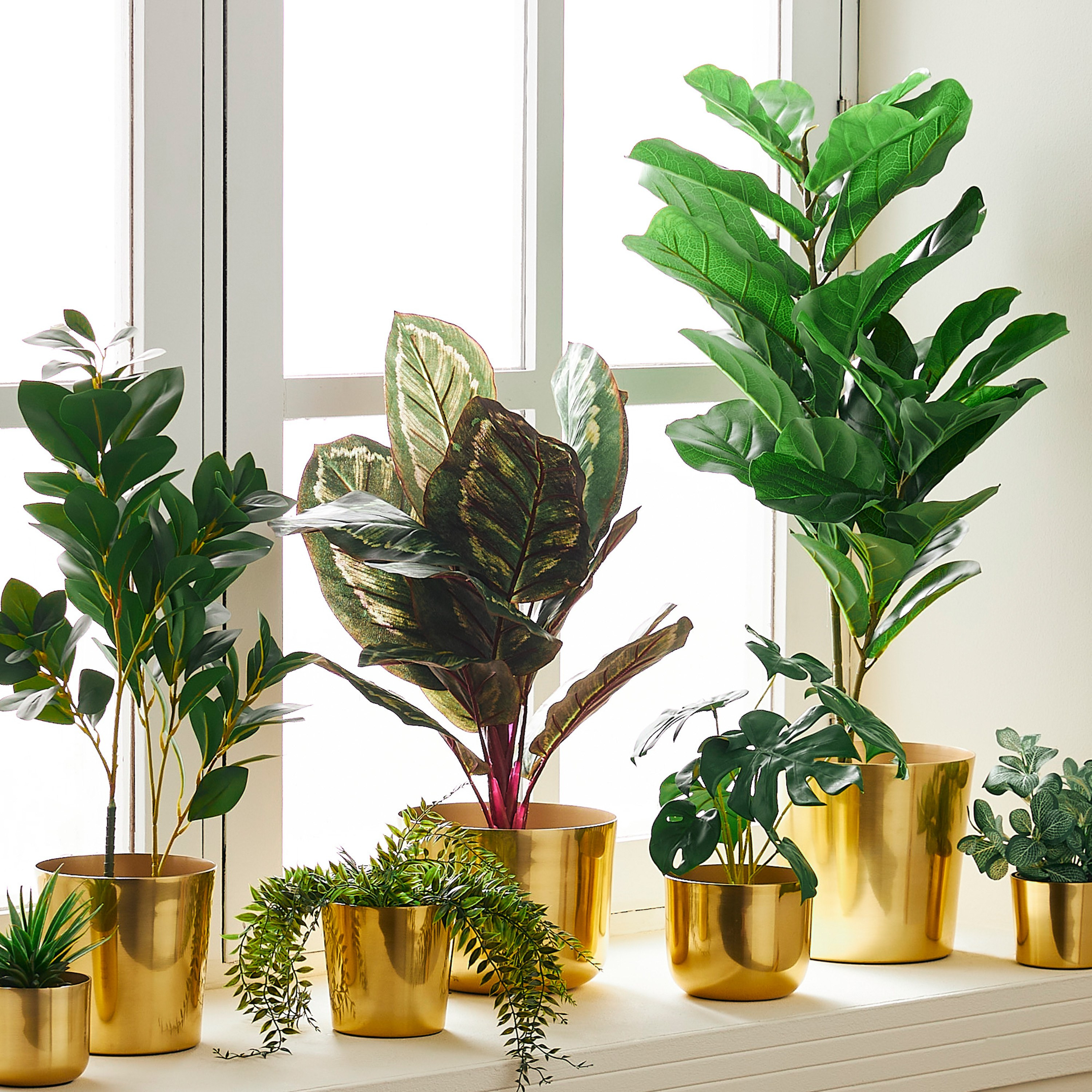 Calathea Plant with Pot - 60 cm-household-gardenandoutdoor-artificialplants-pottedplants-image-4