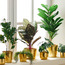 Calathea Plant with Pot - 60 cm-household-gardenandoutdoor-artificialplants-pottedplants-image-4