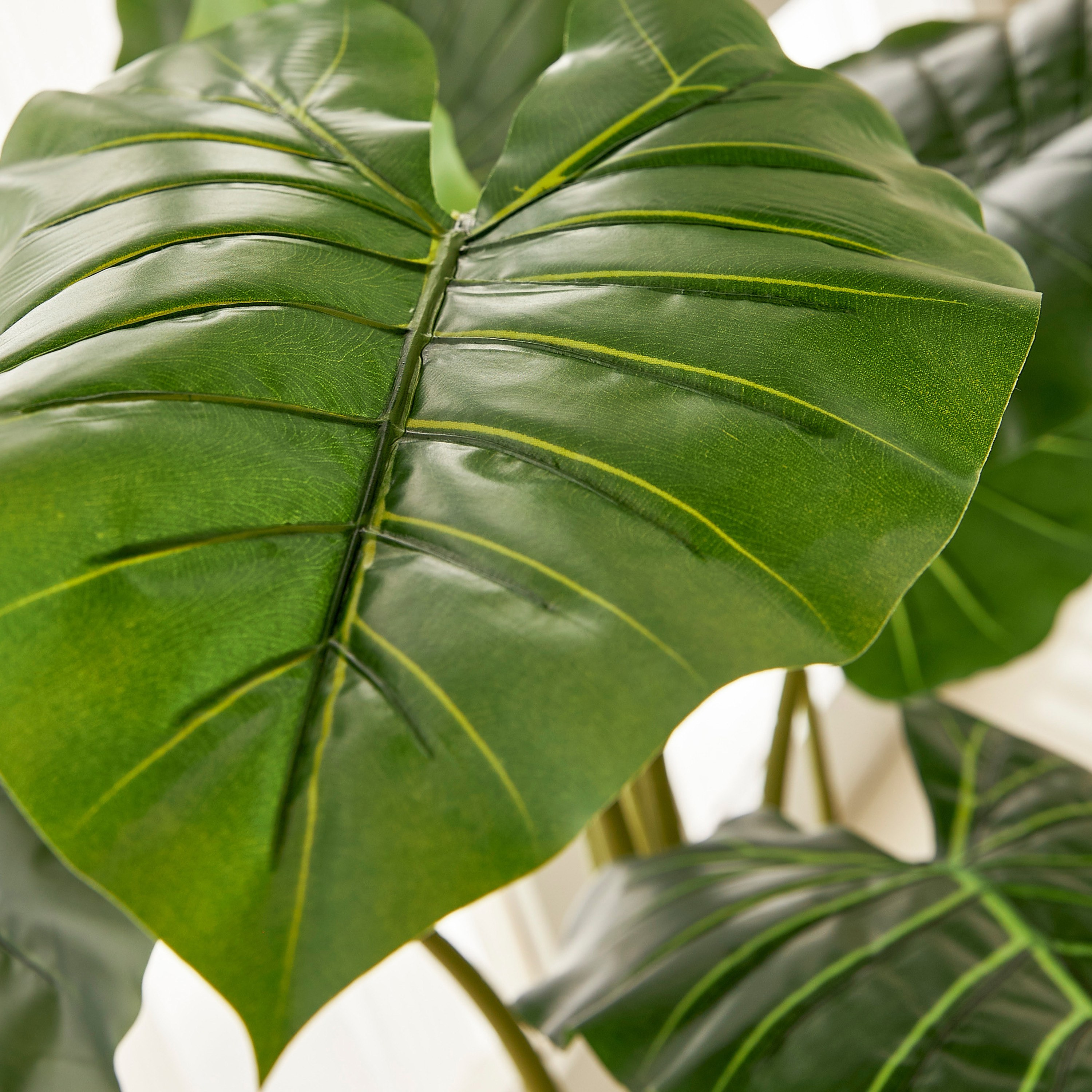Philo Tree - 90 cm-household-gardenandoutdoor-trees-image-2