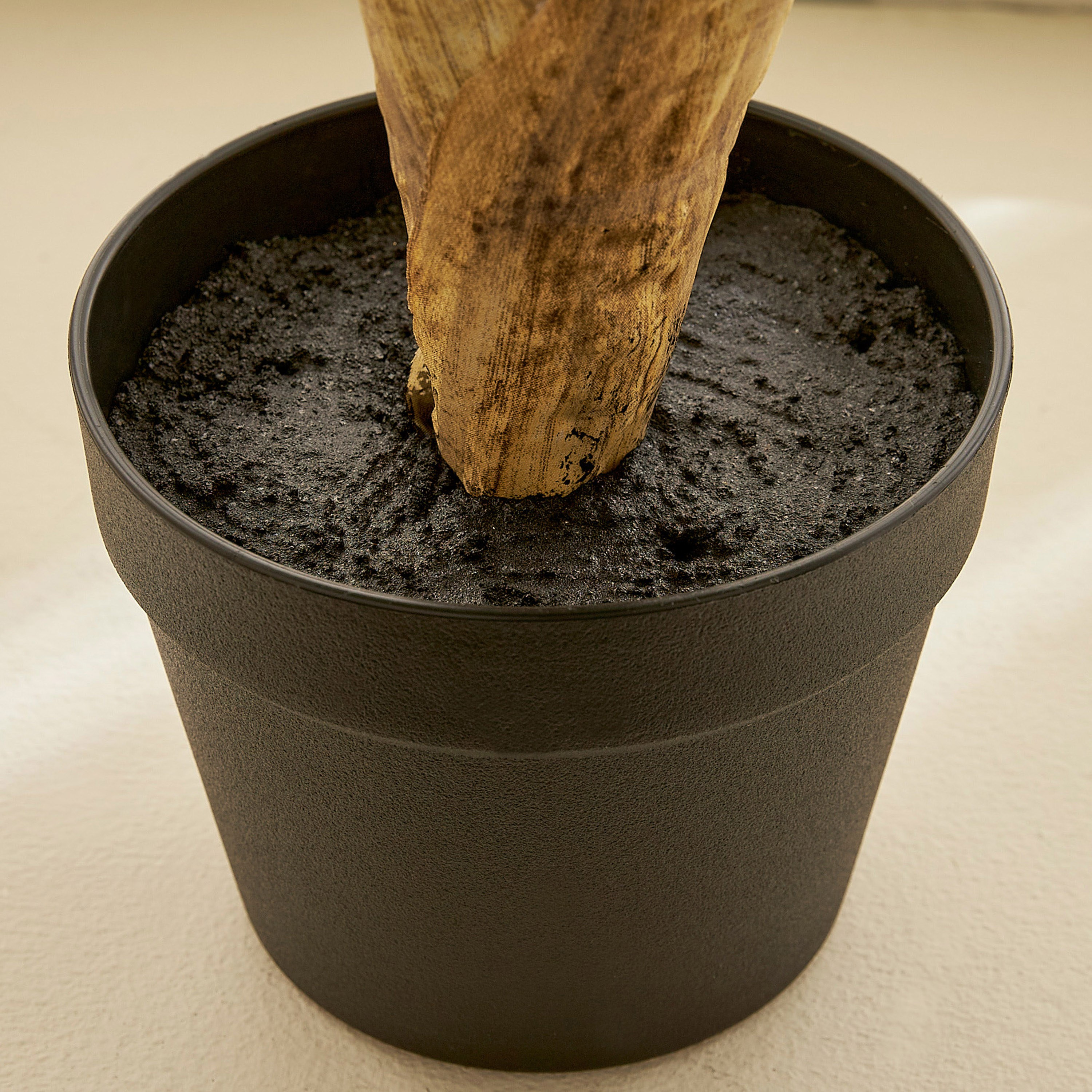 Philo Tree - 90 cm-household-gardenandoutdoor-trees-image-3